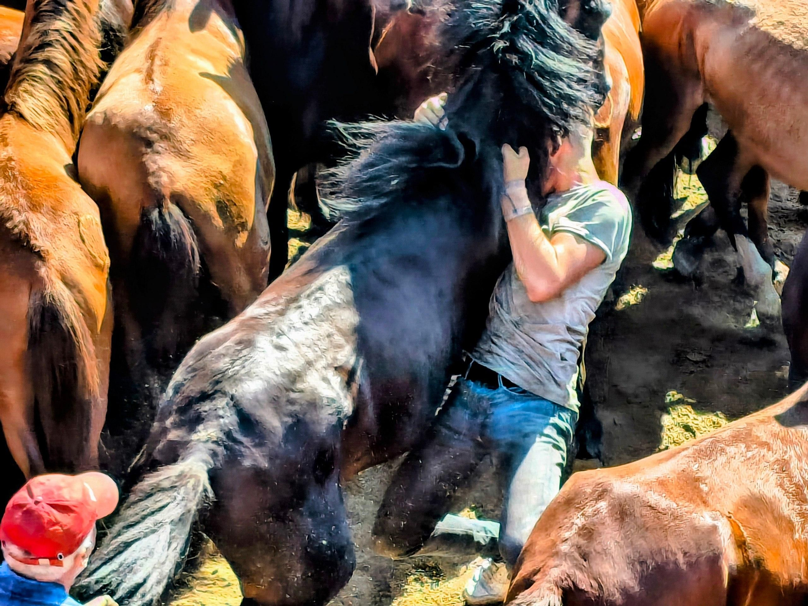 Galería | La Rapa das Bestas desafía al calor en Sabucedo