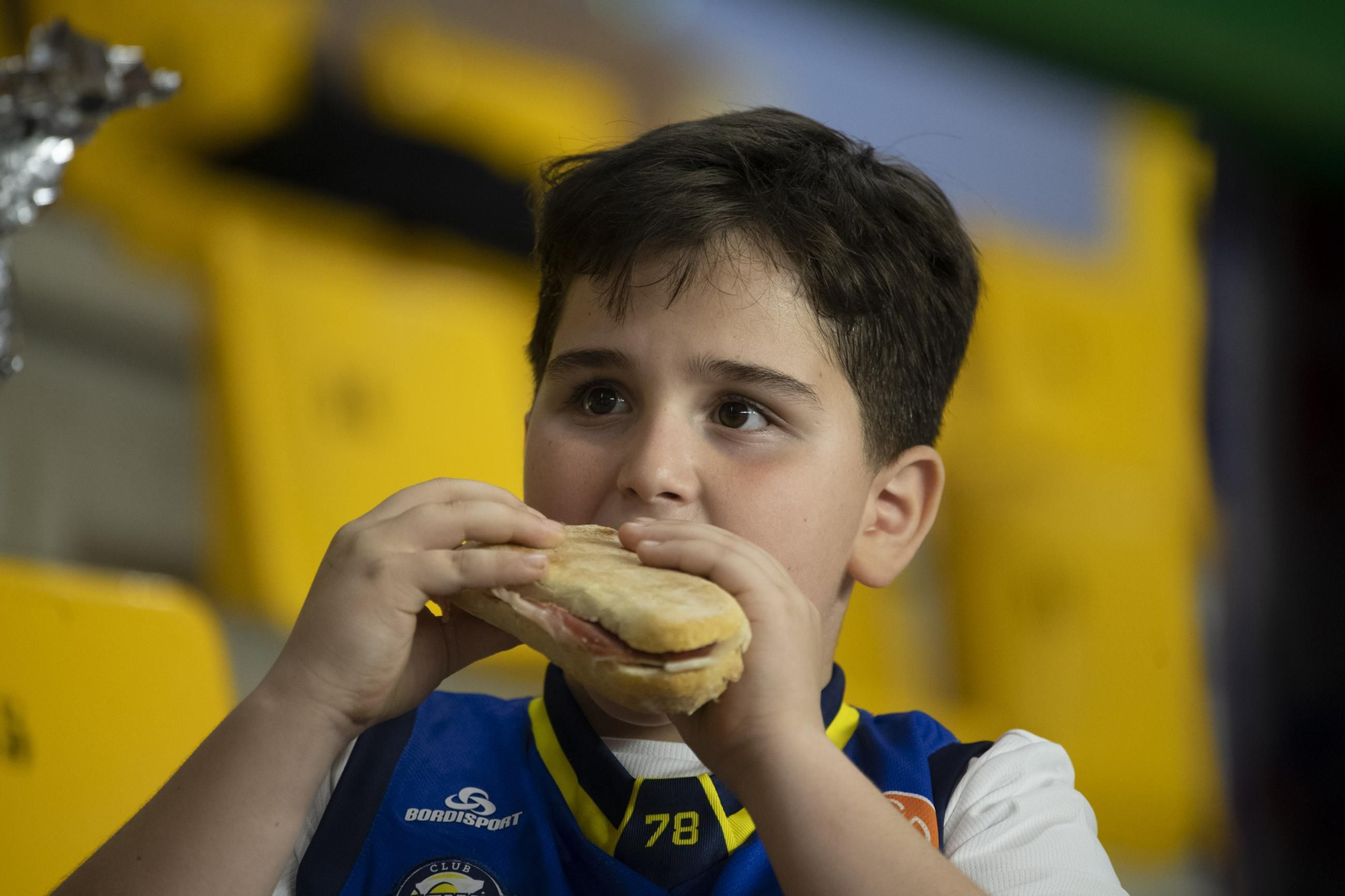 Galería | El Pazo aplaudió a un COB que lo dejó todo ante el Palencia
