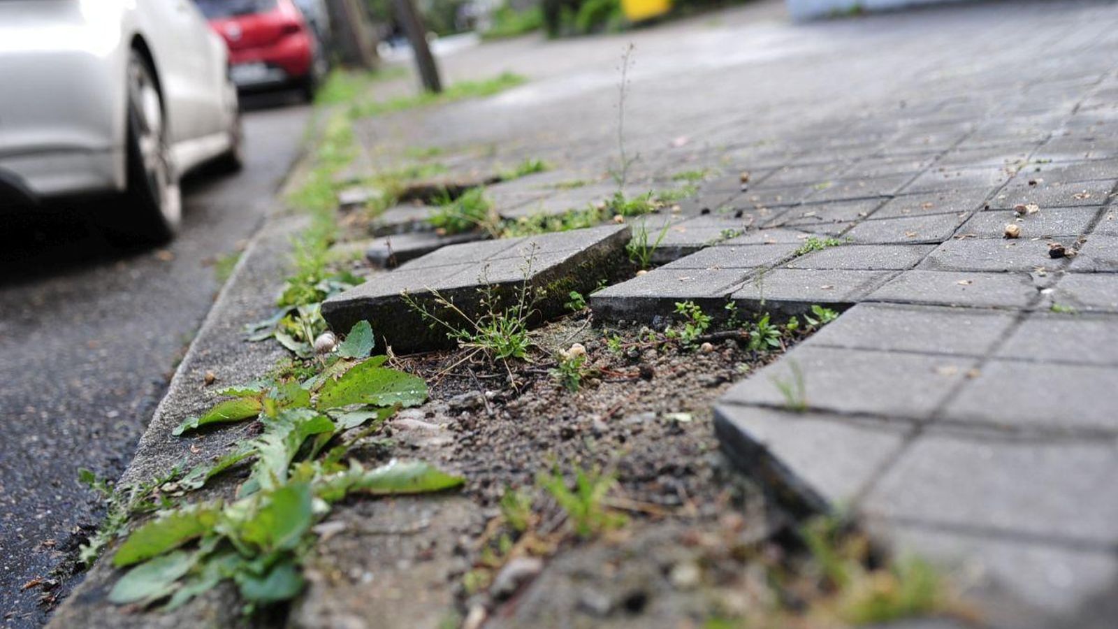 As Lagoas necesita que no la itnoren