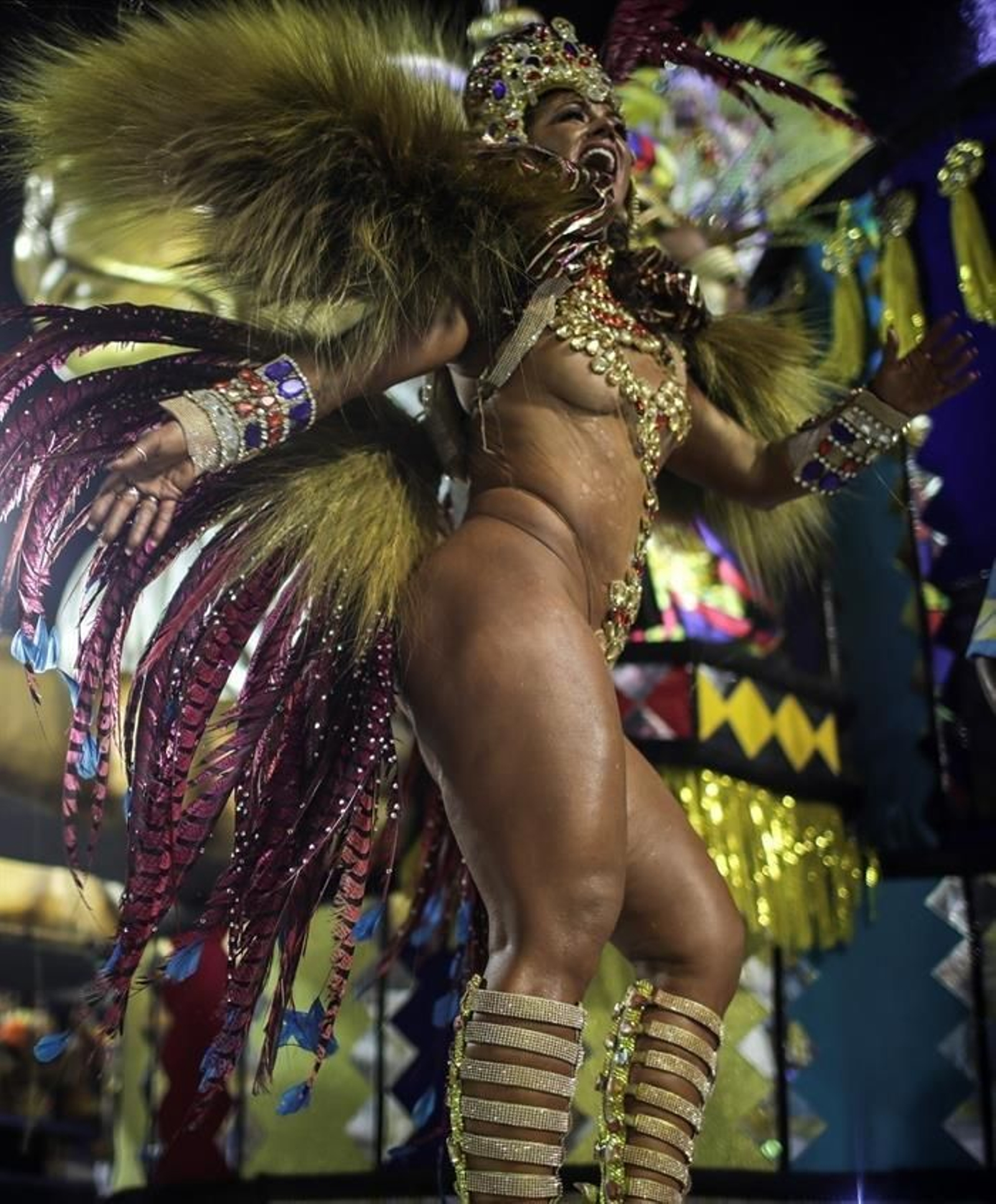 Celebración del carnaval en Río de Janeiro 28