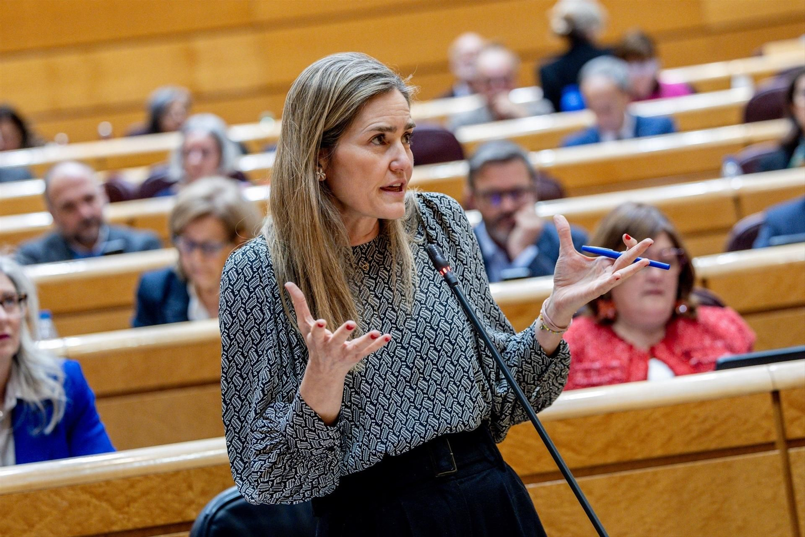 La ministra para la Transición Ecológica y el Reto Demográfico, Sara Aagesen, en el Senado.