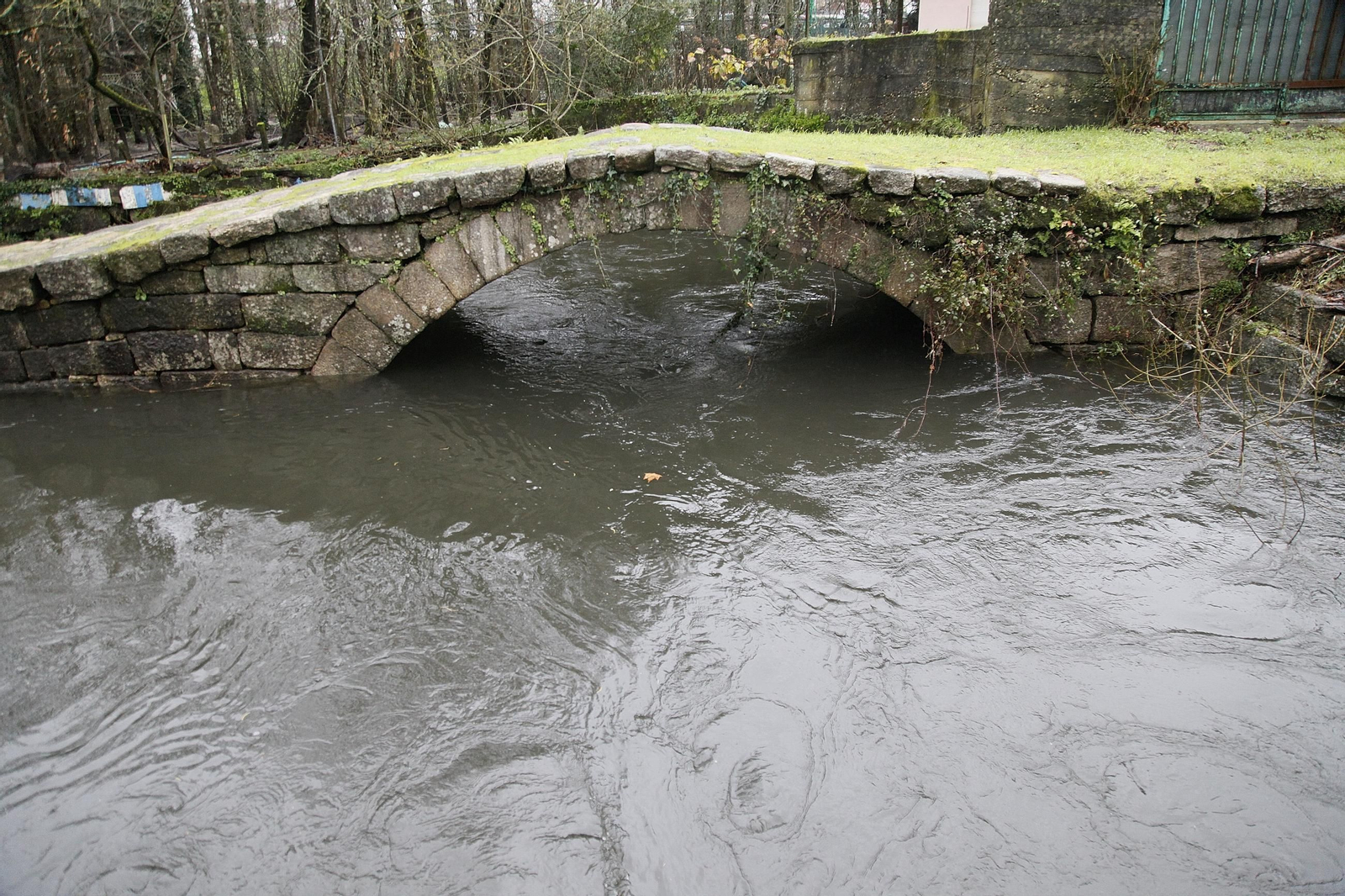 Galería | La crecida de los ríos anegan la provincia de Ourense