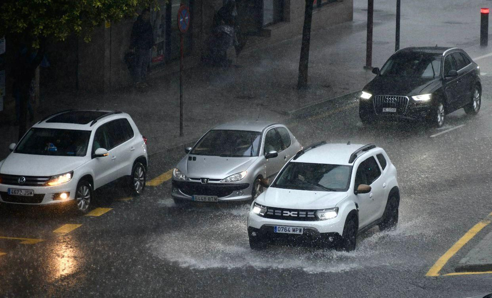 WhatsApp Image 2025-11-13 at 11.36.16.jpeg