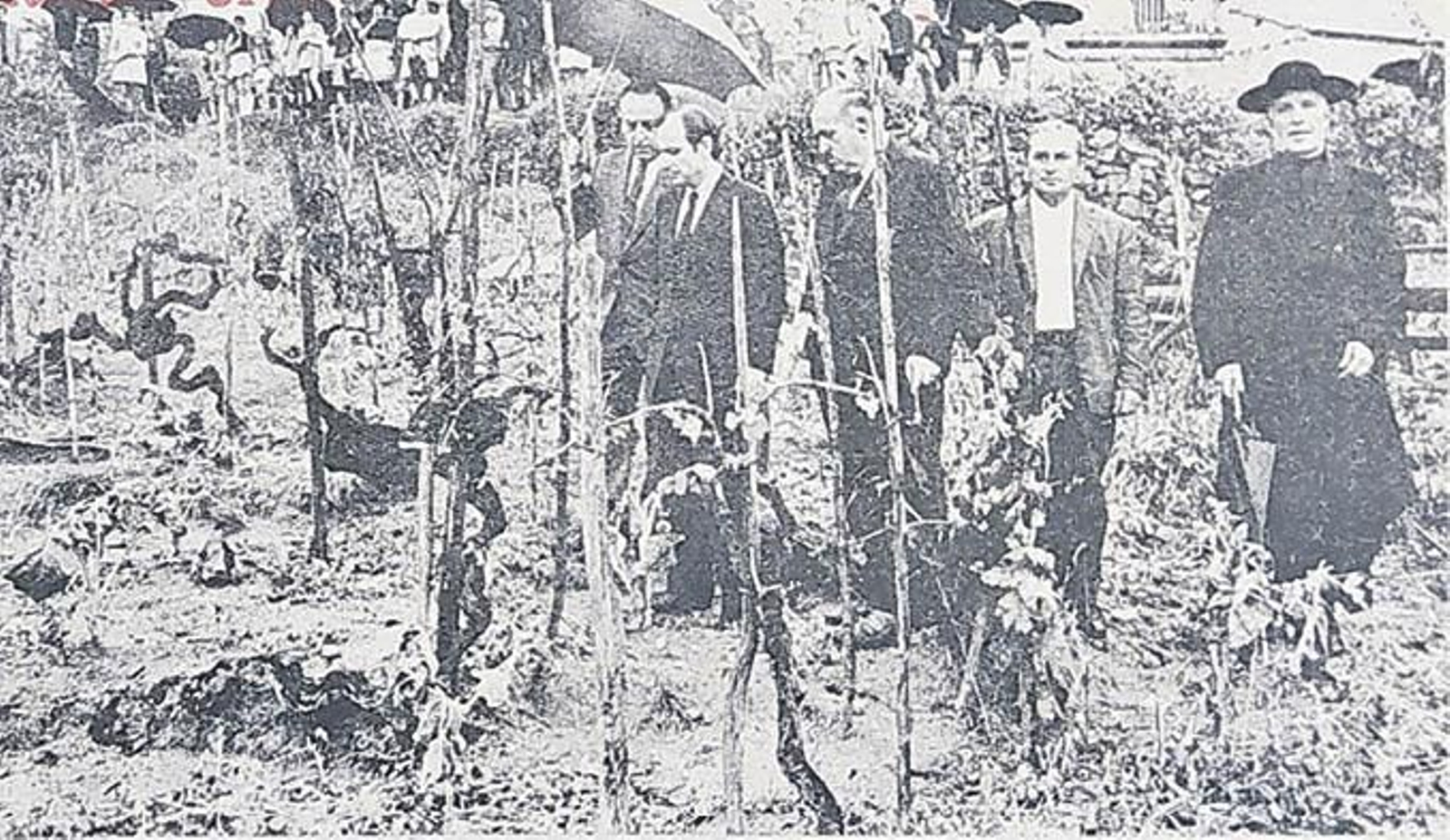 Fernández Júlbez se trasladó a la zona afectada para observar los destrozos.