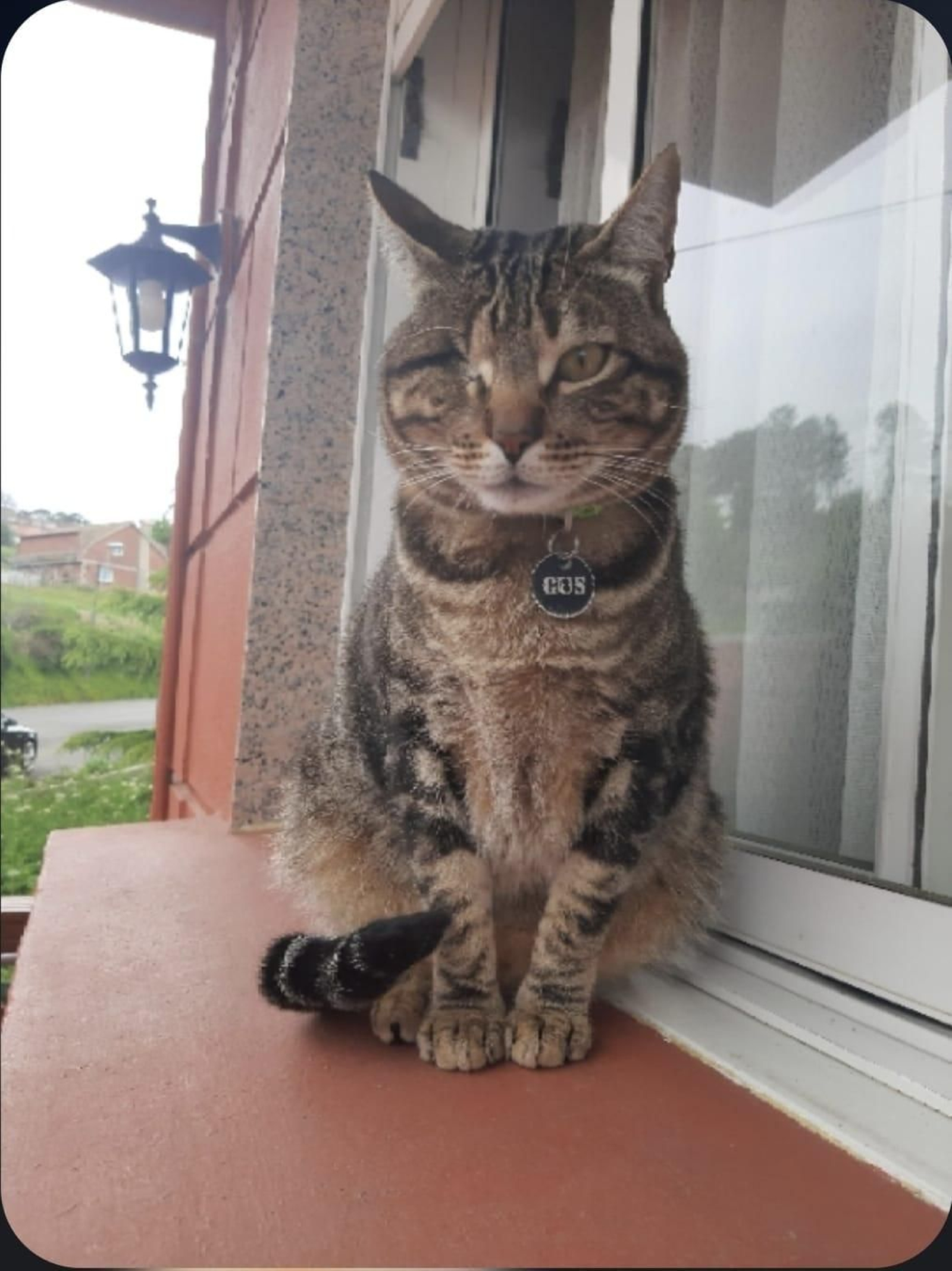 Gus
