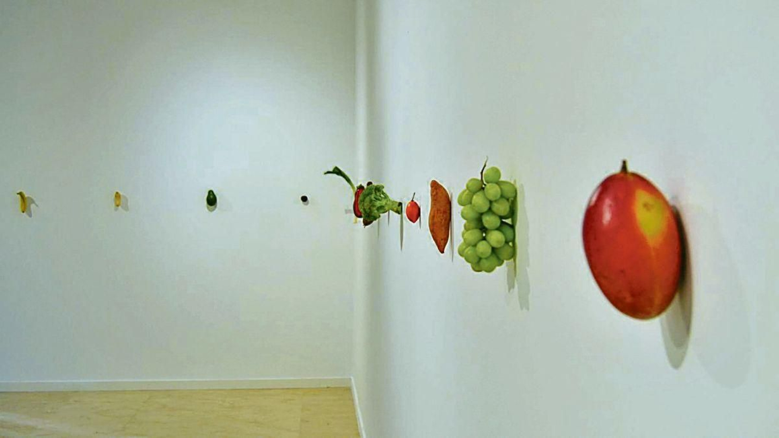 Exposición en el Campus de Ourense.