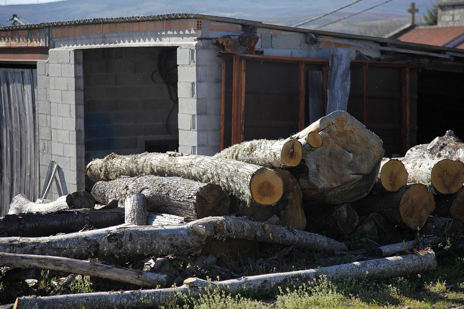 Madera apilada en un serradero de Vilariño Frío. // Óscar Pinal