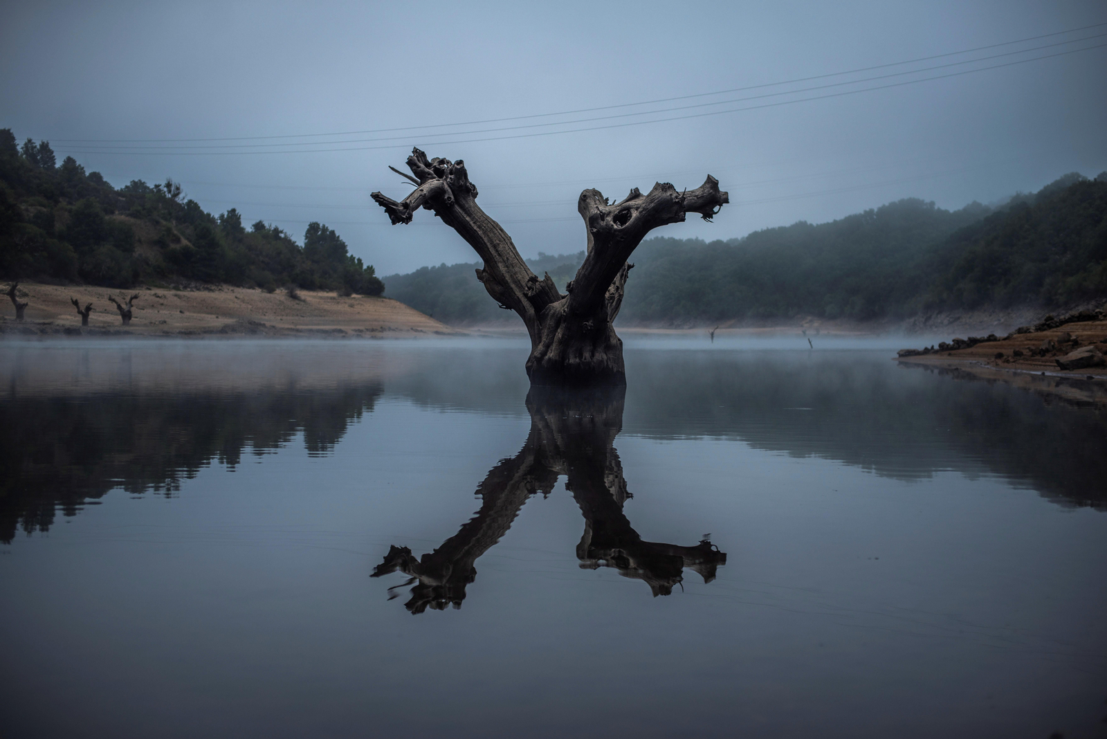 El tronco de un árbol emerge del embalse semivacío de O Bao, en Viana do Bolo, Ourense.