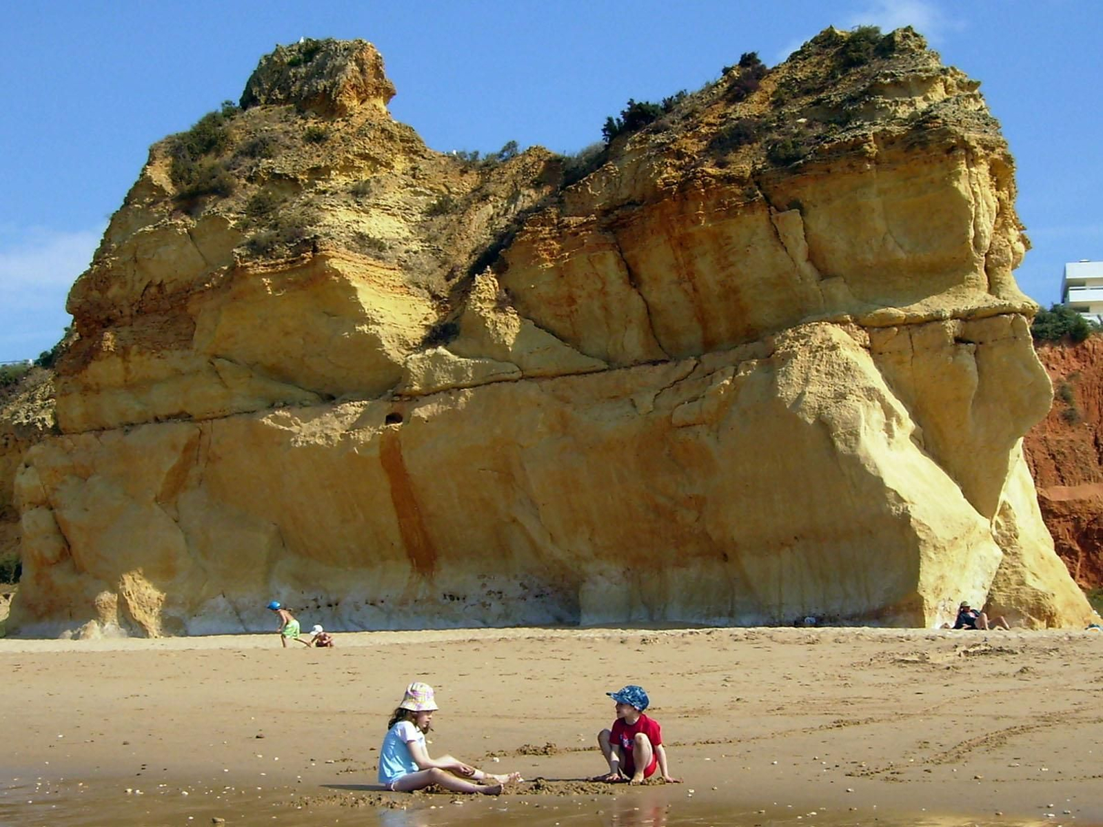 Susana Torrón Pillado
