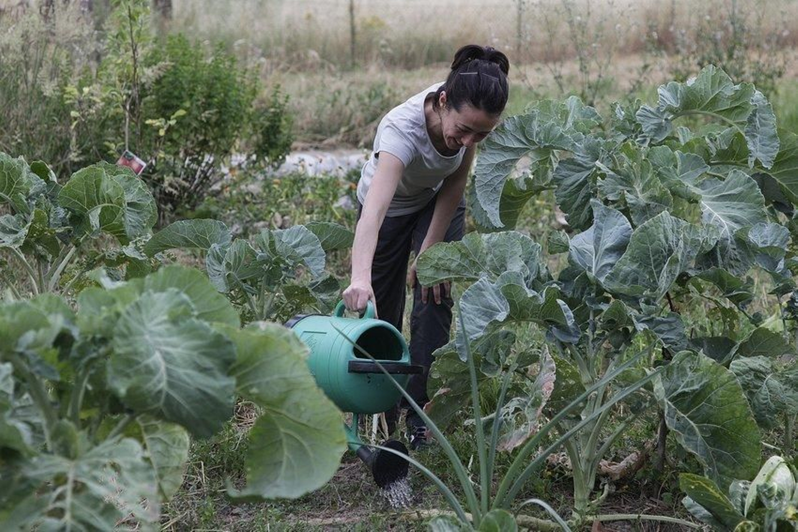 El confinamiento en el rural