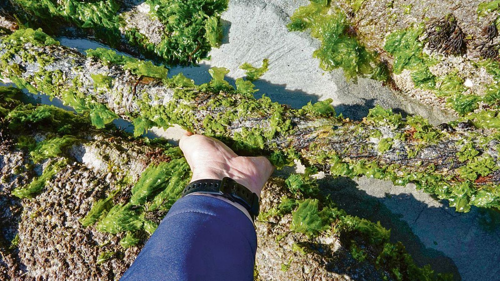 El tubo, a la vista.