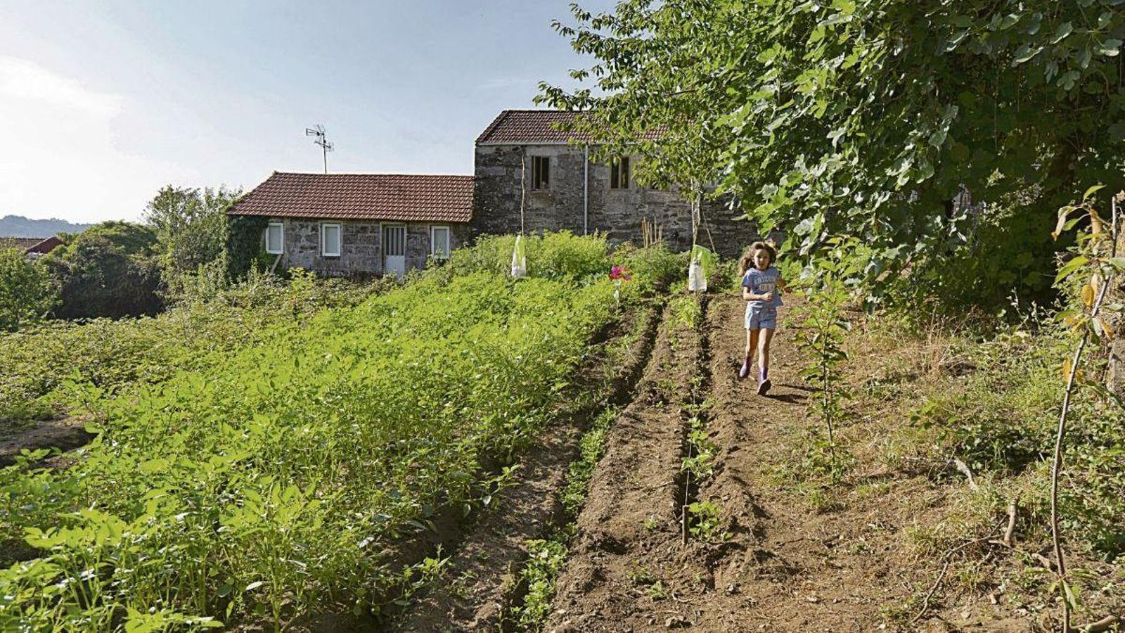 El huerto donde cultiva Rocío Andrade en Nogueira.