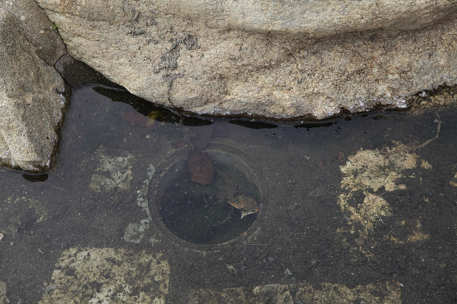 Estado de las termas en Ourense.