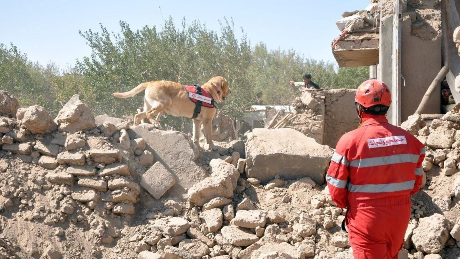 Terremoto en Afganistán.