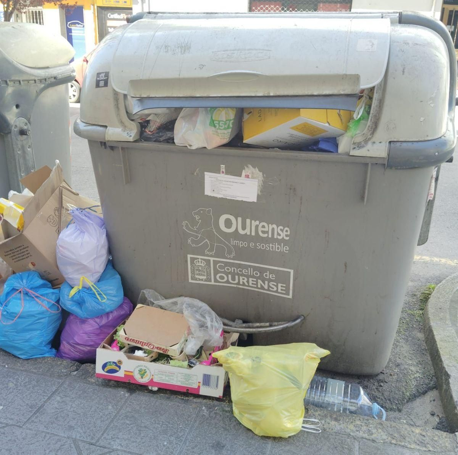 Contenedores desbordados en la ciudad.