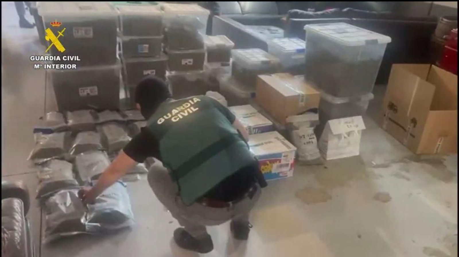 La operación policial permitió detener a una banda dedicada presuntamente a robos.