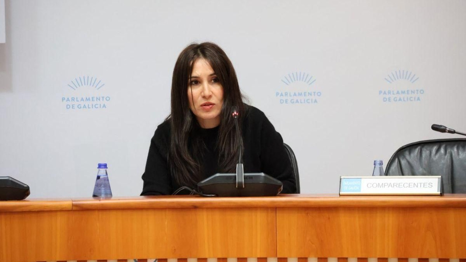 Concha Pombo, durante una comparecencia en el Parlamento.