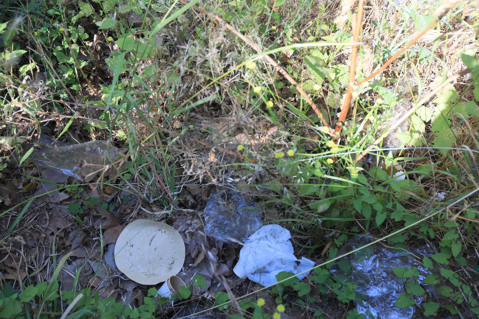 OURENSE 25/05/2023.- Basura en el Barbaña. José Paz