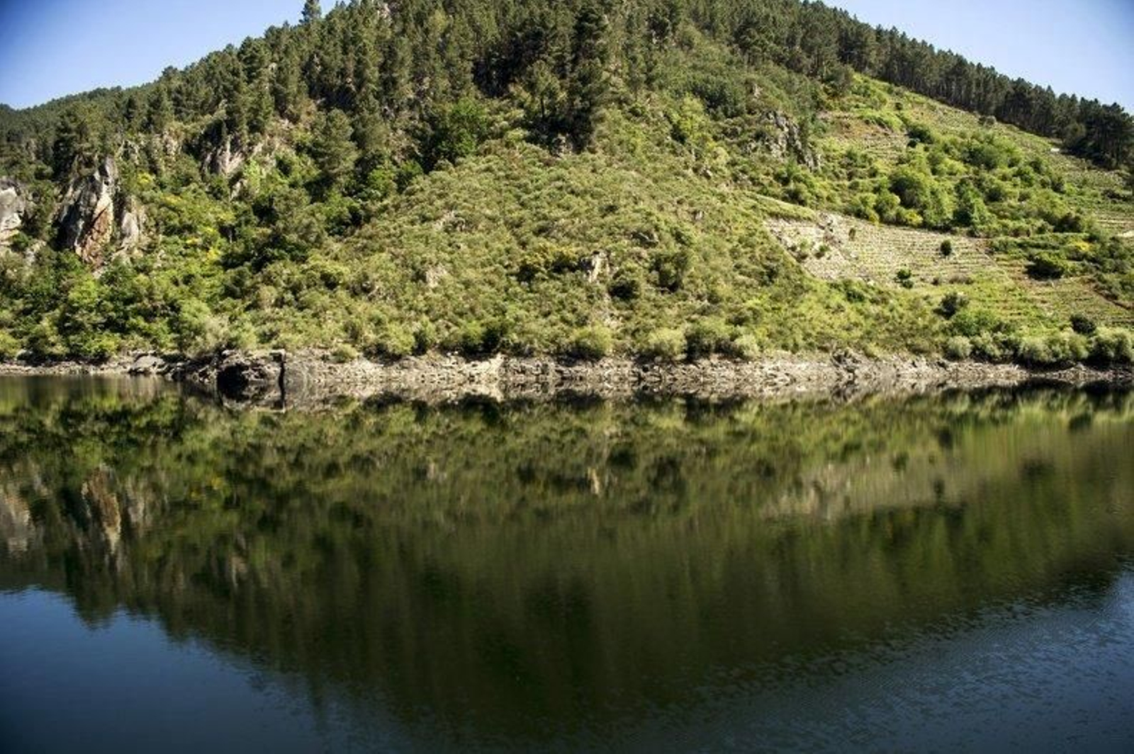 Vistas del Sil desde el catamarán de la Ribeira Sacra. José Paz