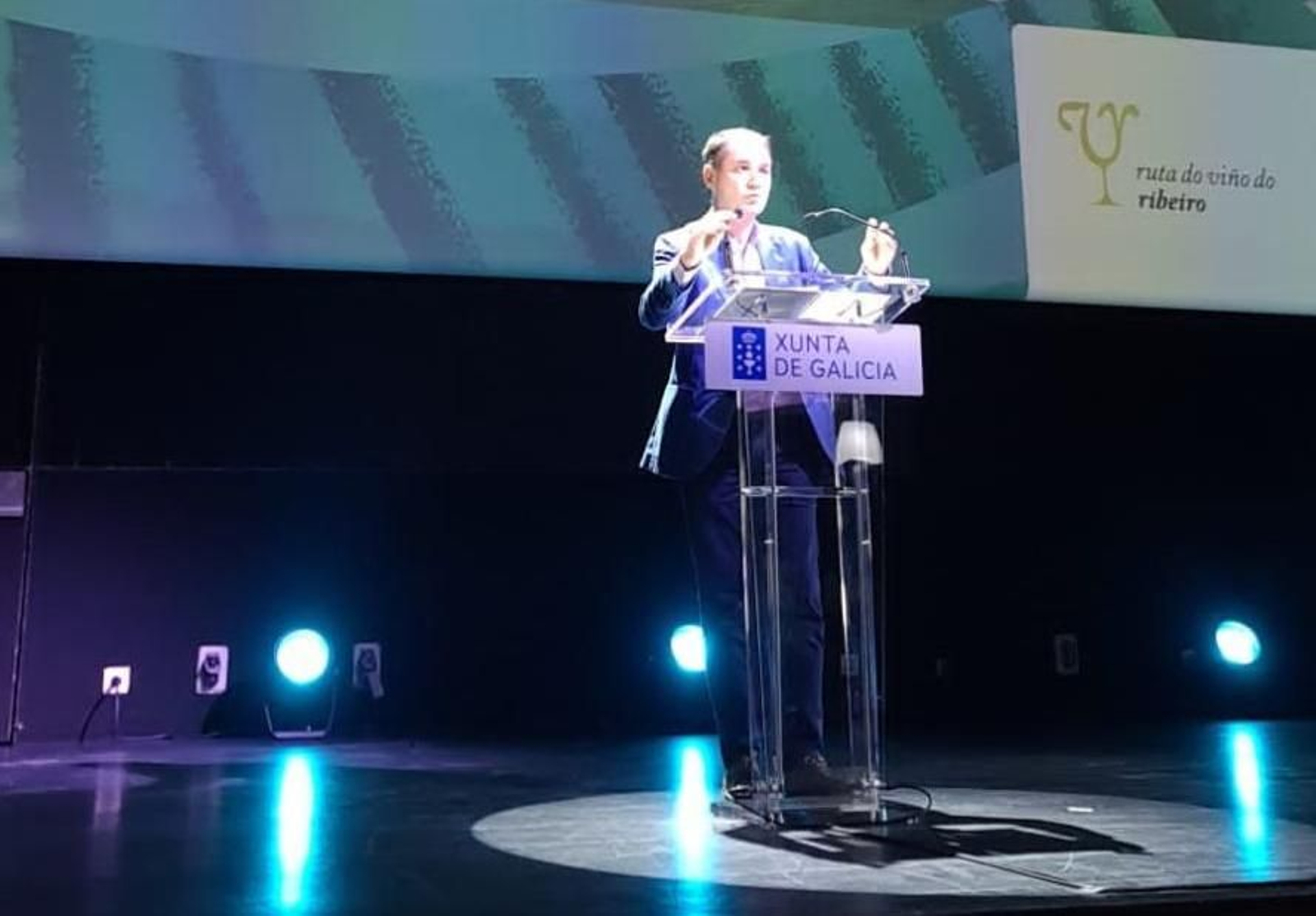 El presidente de la Ruta do Viño do Ribeiro, Juan Manuel Casares, durante la presentación.