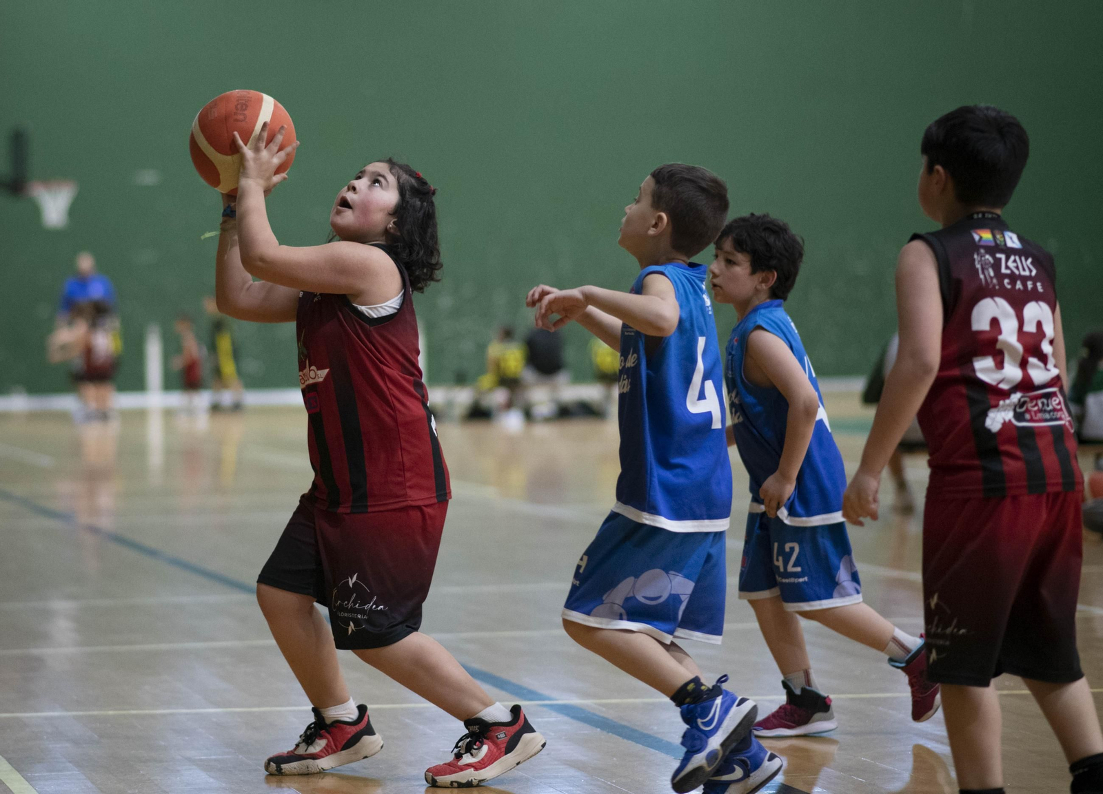 Galería | Concentración de Minibasket en Verín