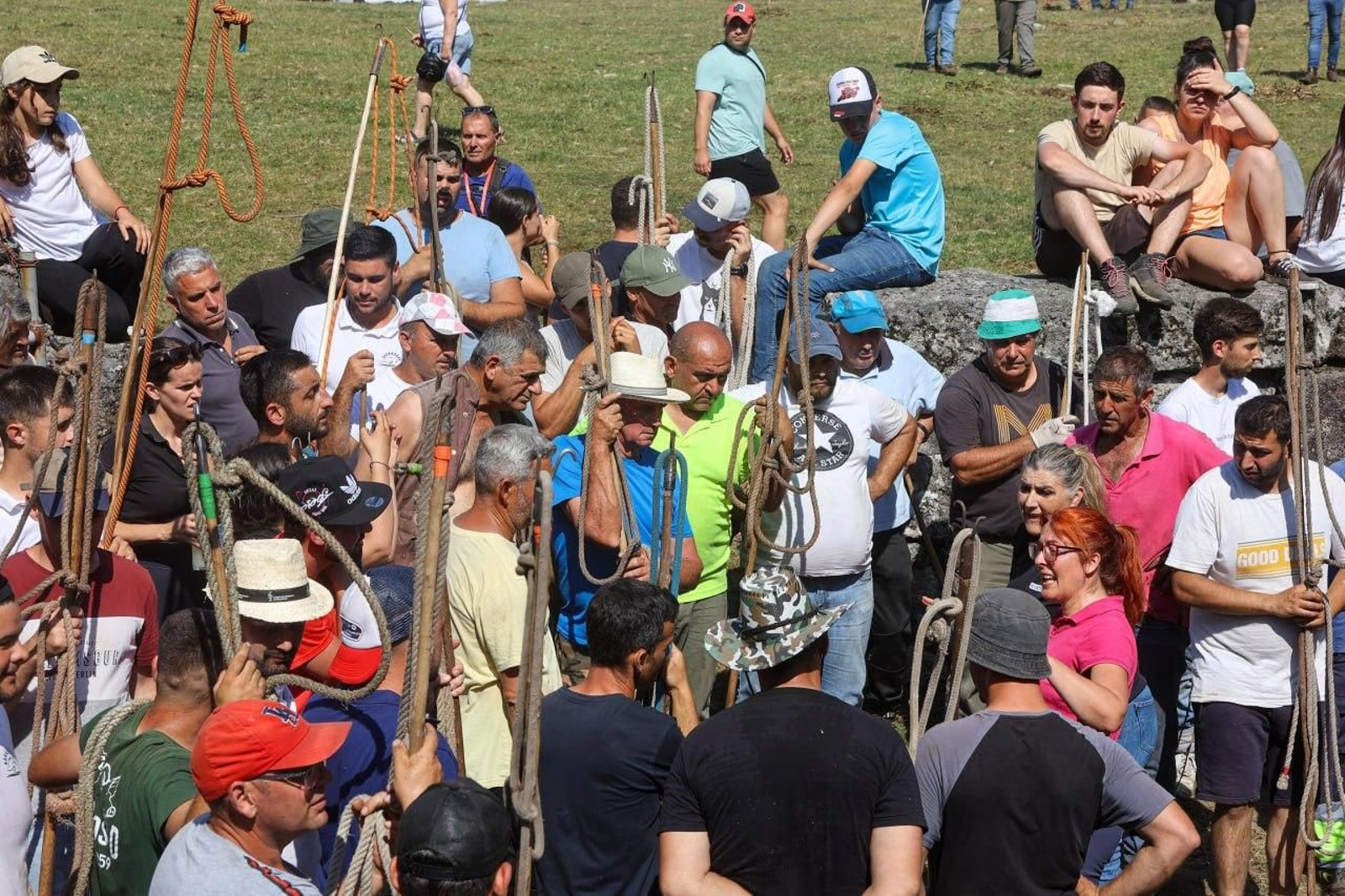Galería | El curro de Mougás cierra la temporada de la “rapa” en la Serra da Groba