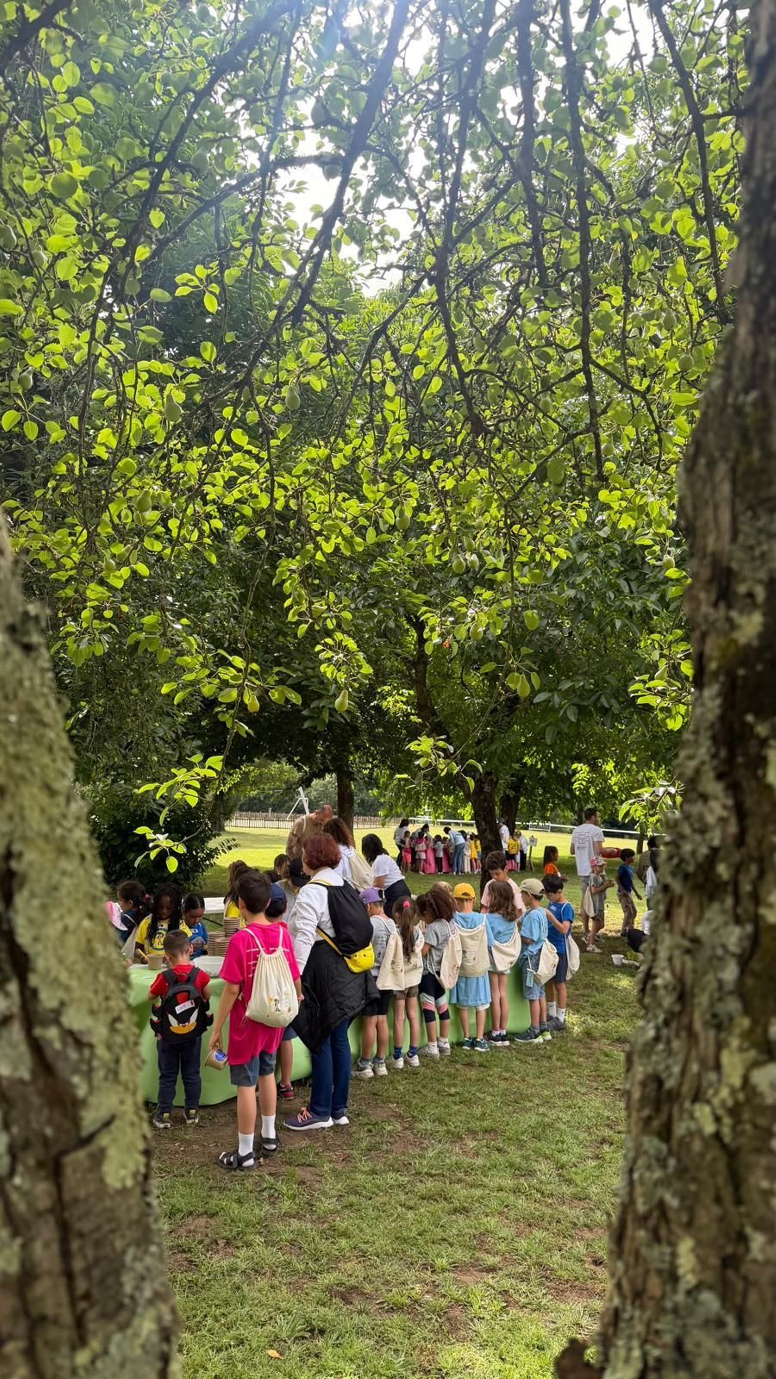 Xornada intercentros no Ribeiro