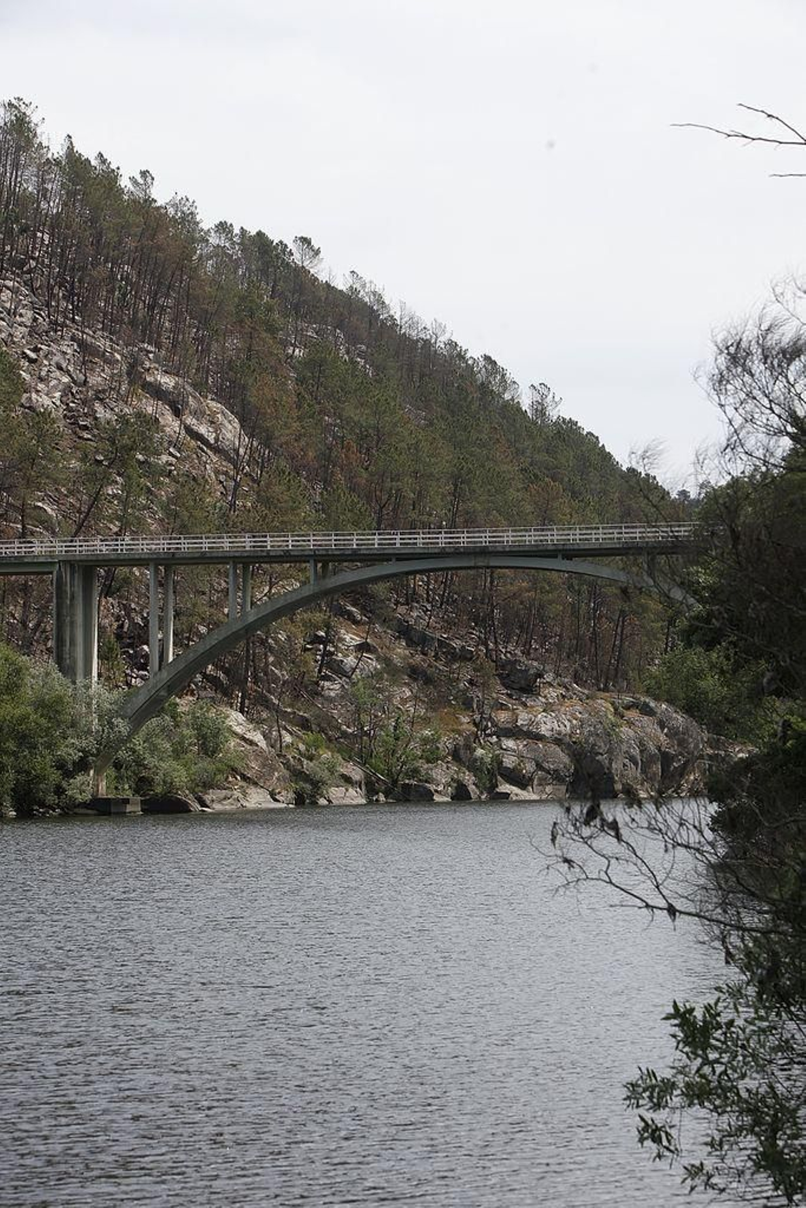 La búsqueda de Mitogo entre Arnoia y Ribadavia