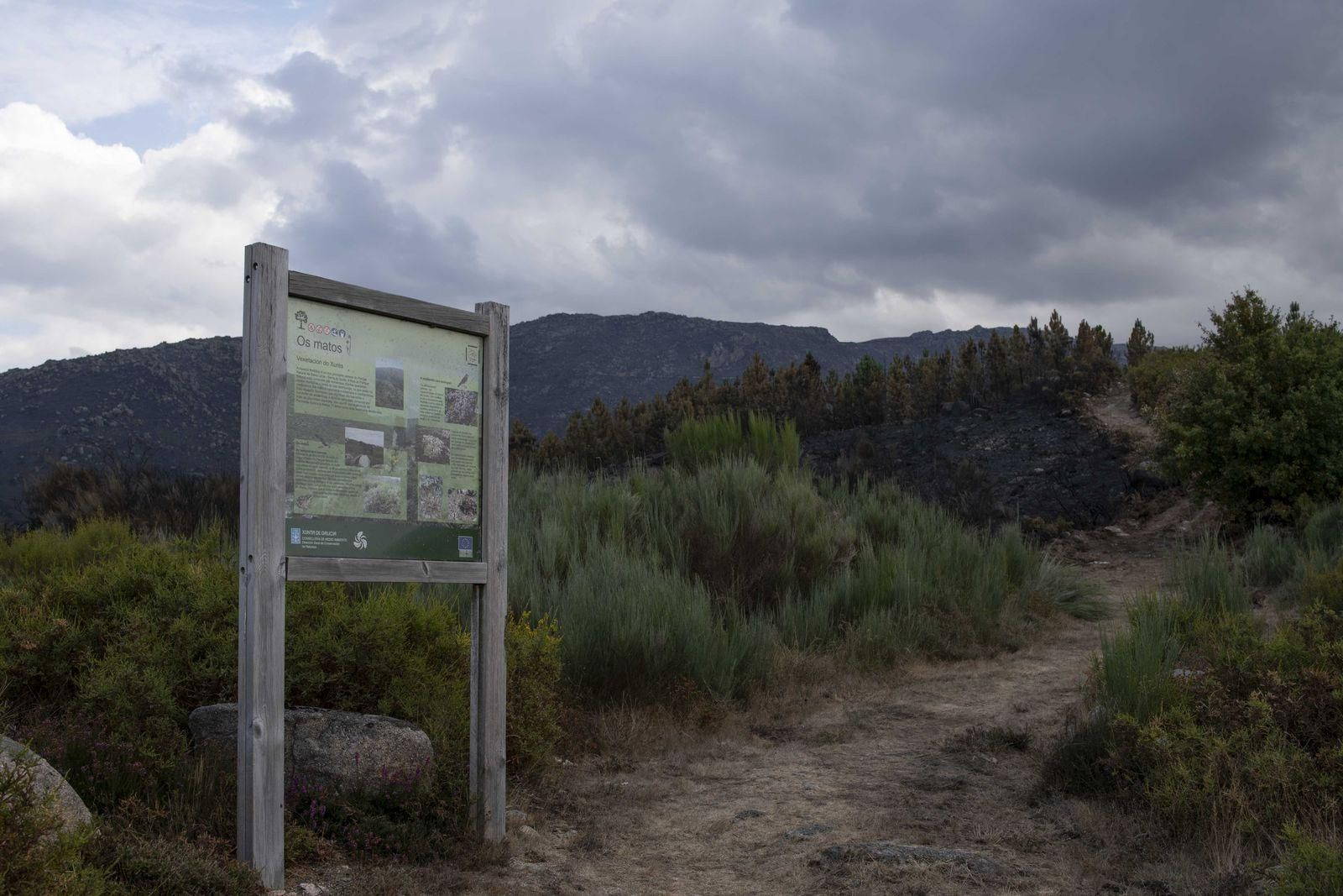 El Xurés se tiñe de negro tras los incendios (XESÚS FARIÑAS)