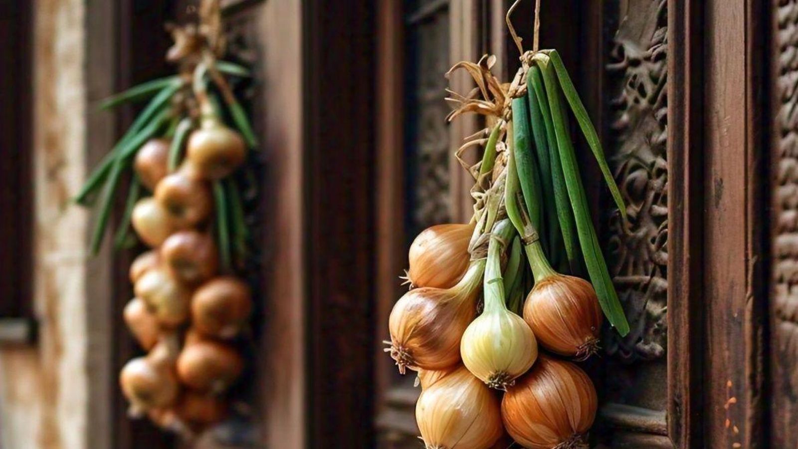 En Grecia el año nuevo se recibe colgando cebollas