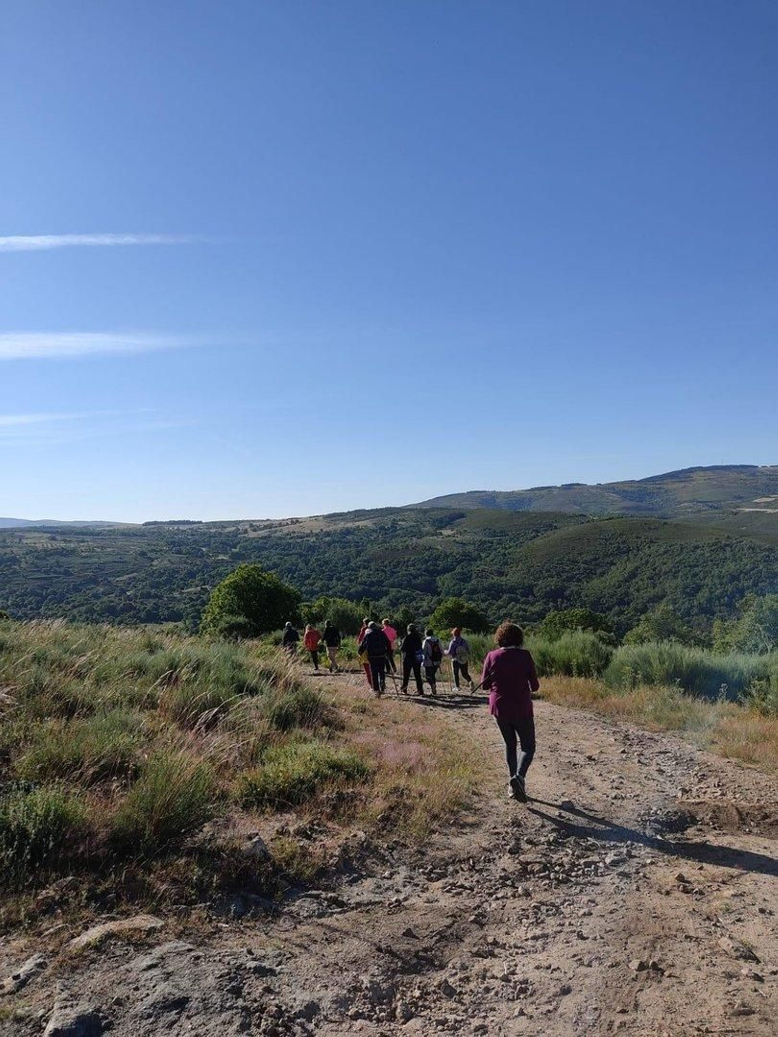 Montes de la provincia.