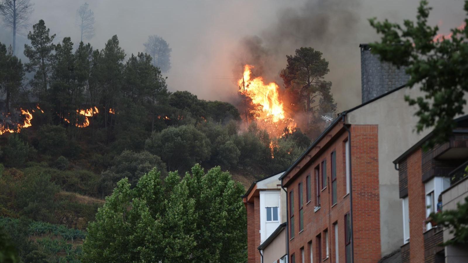 Incendio en Viloira (ALBERTE)