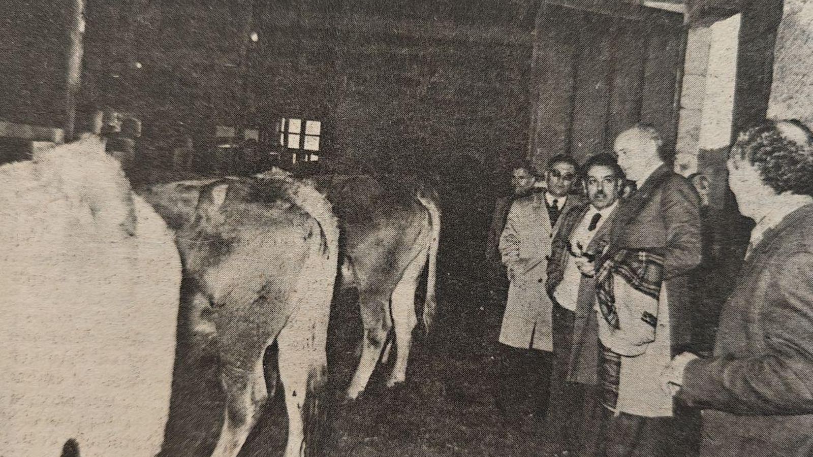 Entrega de novillas en el Pazo de Villamarín.