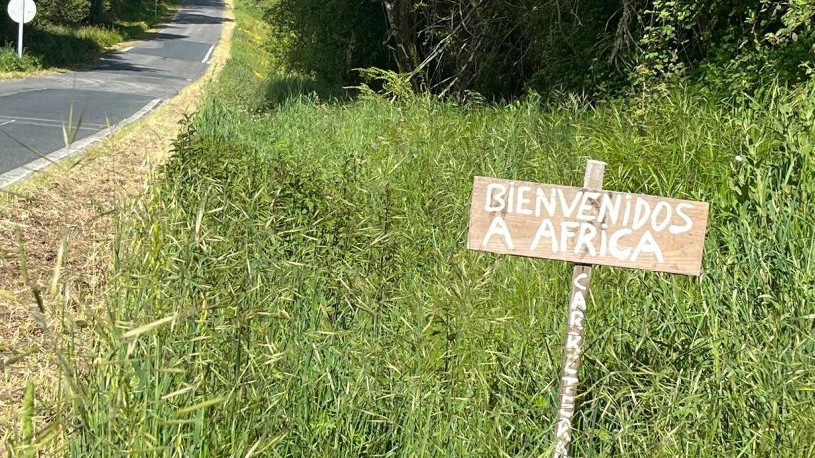 Carretera descuidada