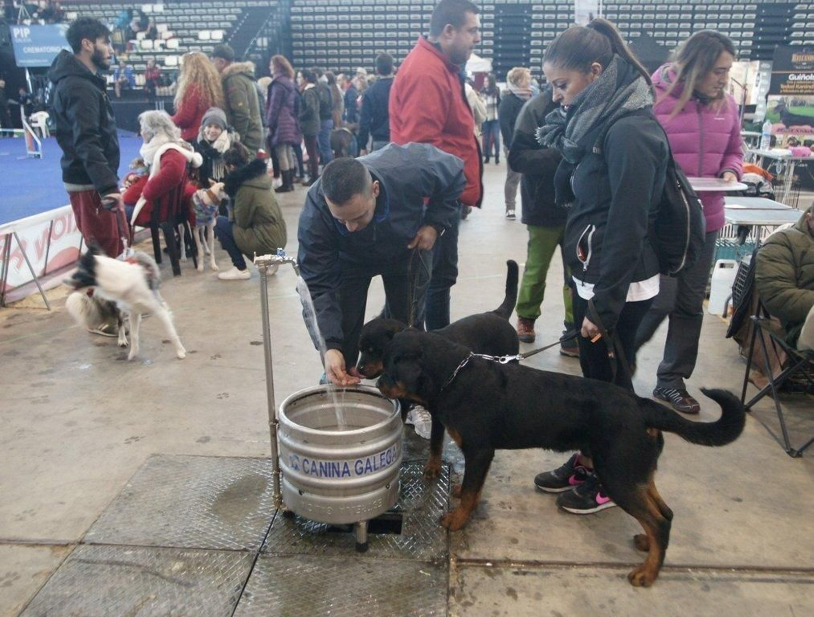 Exposición Canina en el Ifevi Foto Vicente04