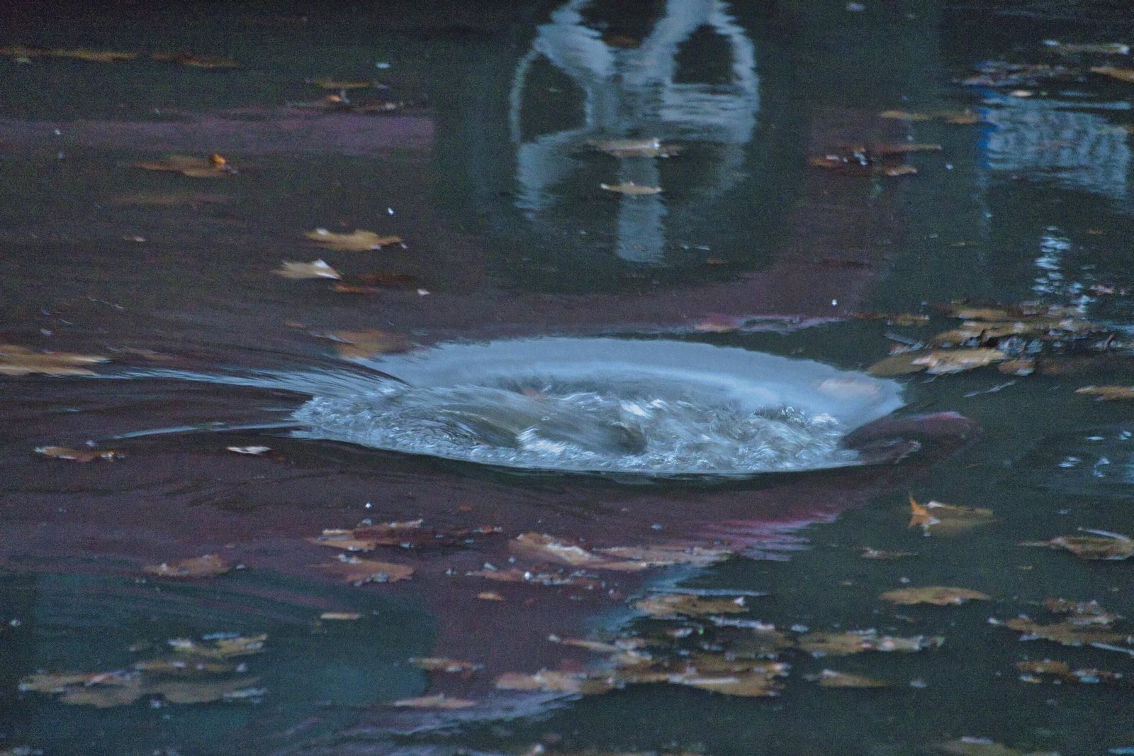 Galería | Calles inundadas y fuerte oleaje en la ría de Vigo por el temporal