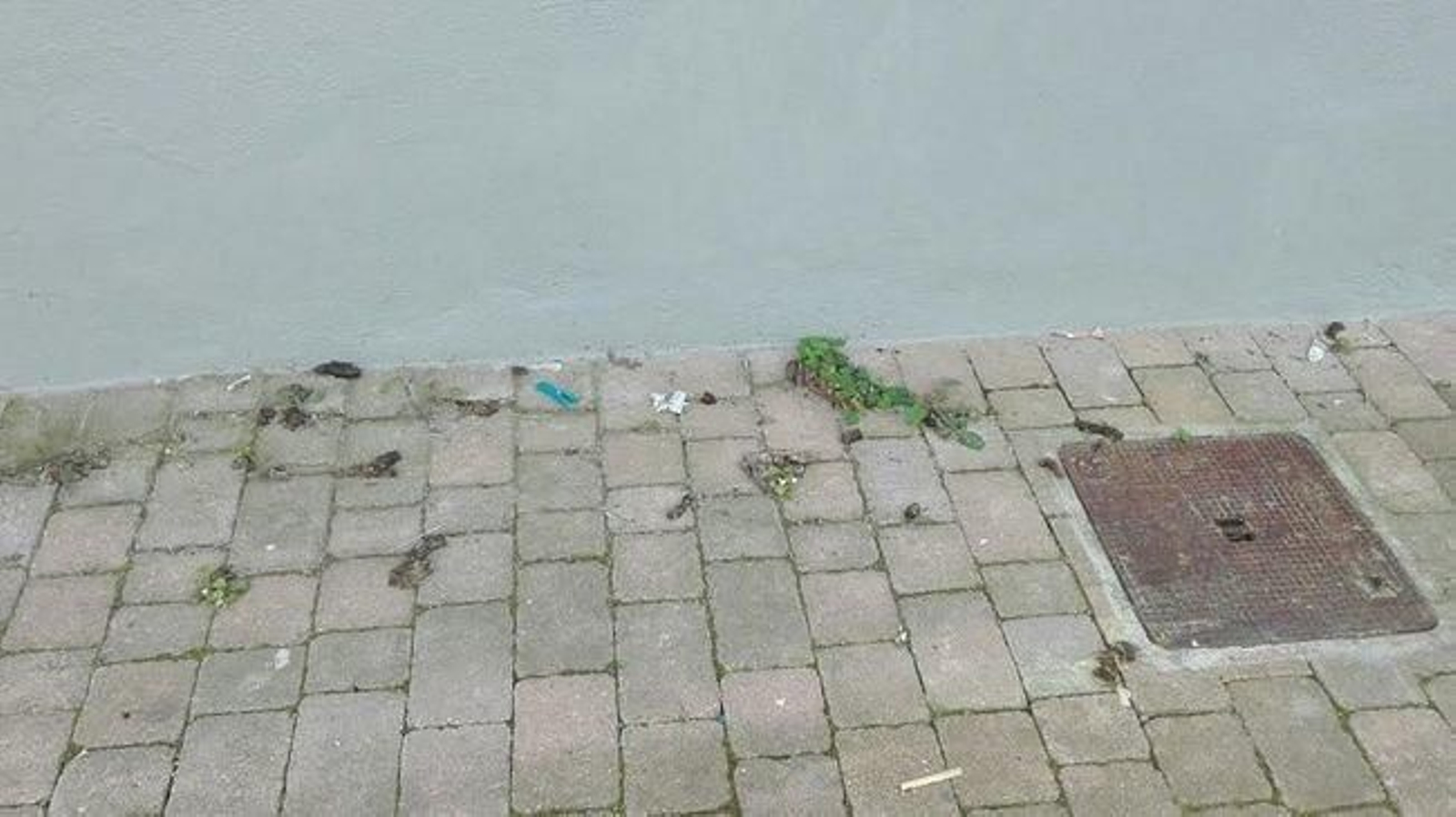 anuncio_la_region2_2017_result