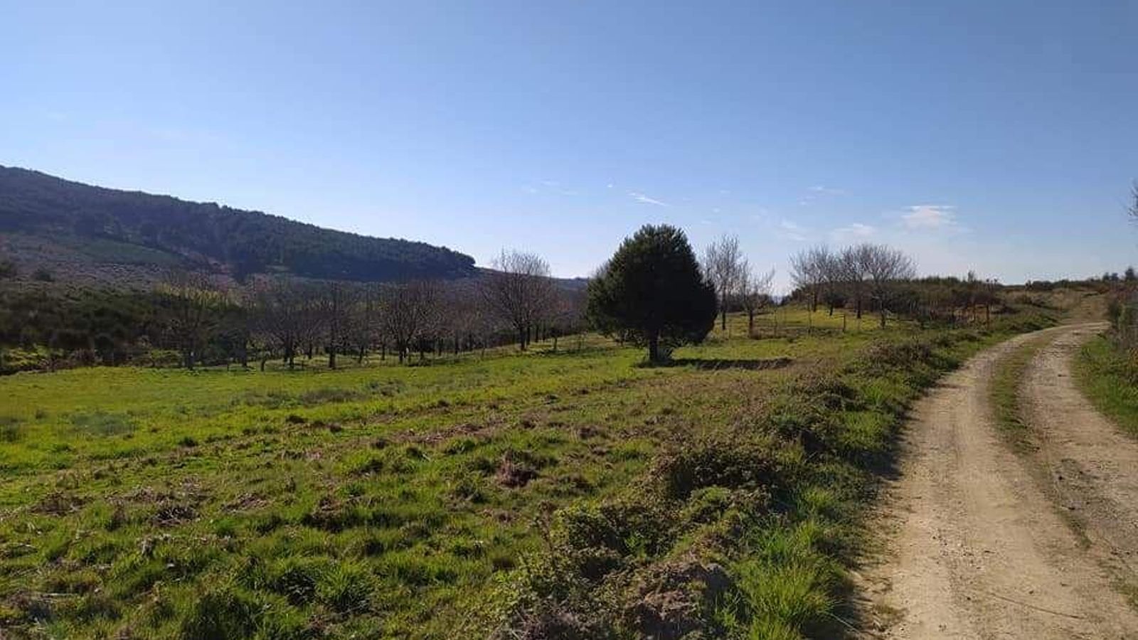 ruta do carboeiro (1)_resultado