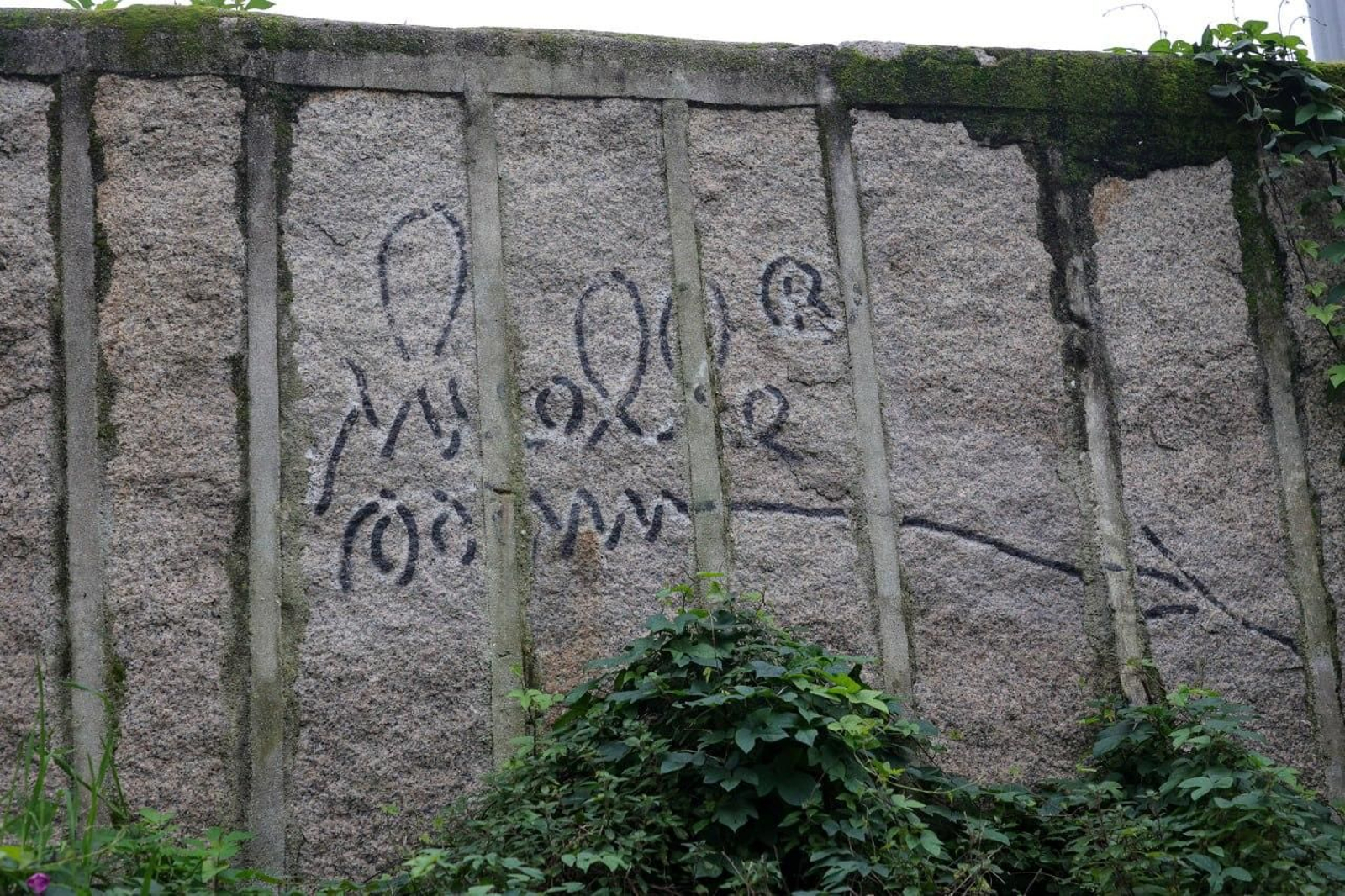 Grafiti de Muelle