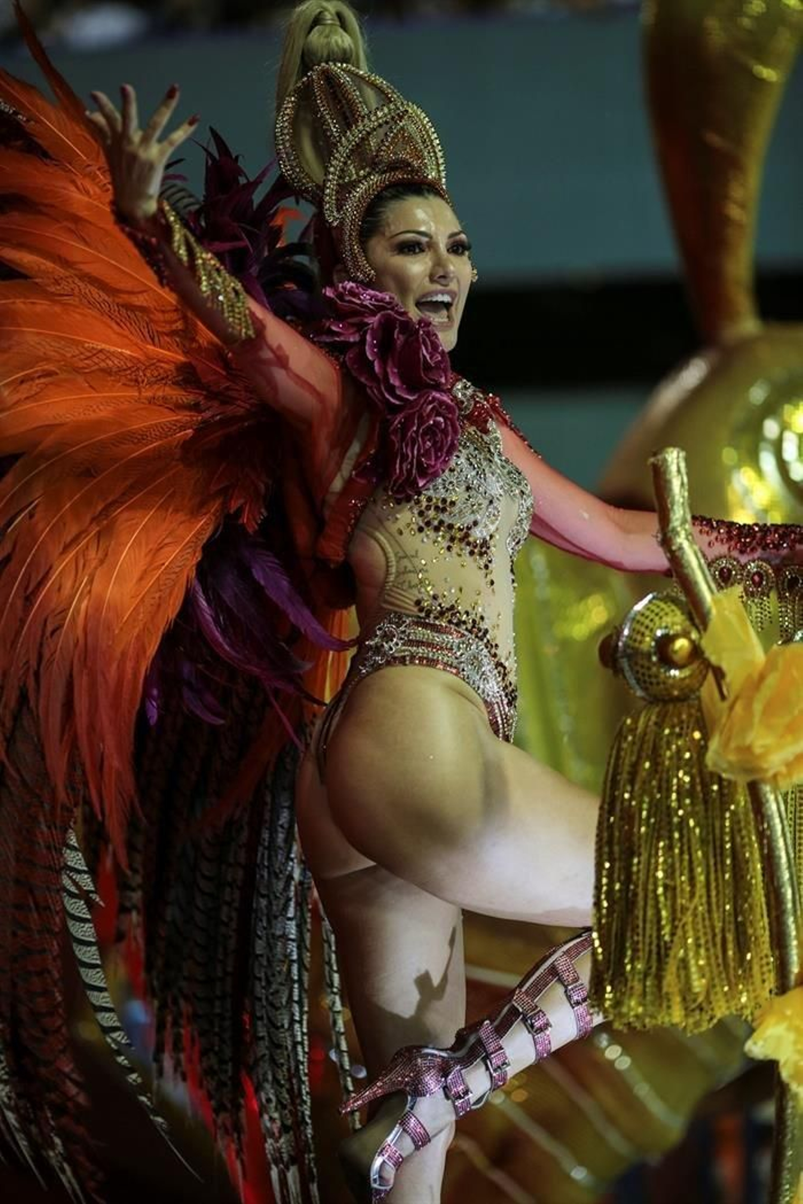 Celebración del carnaval en Río de Janeiro 04
