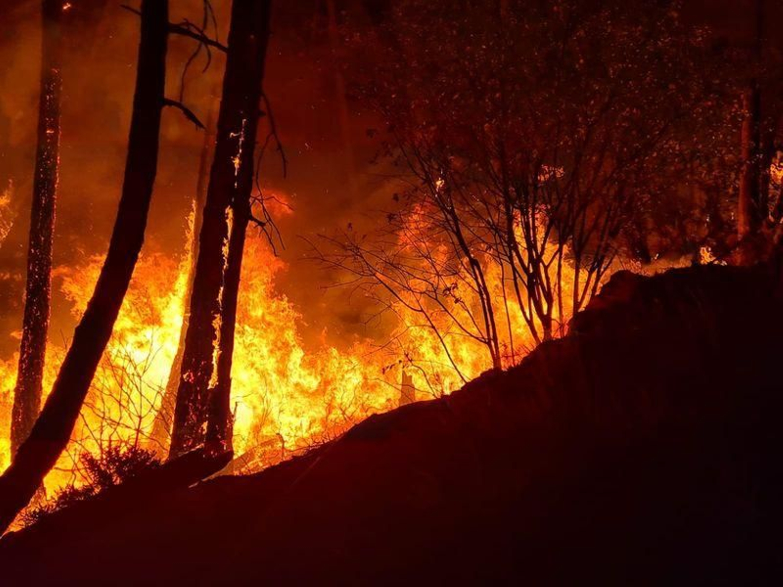 Incendio en Vilar de Barrio