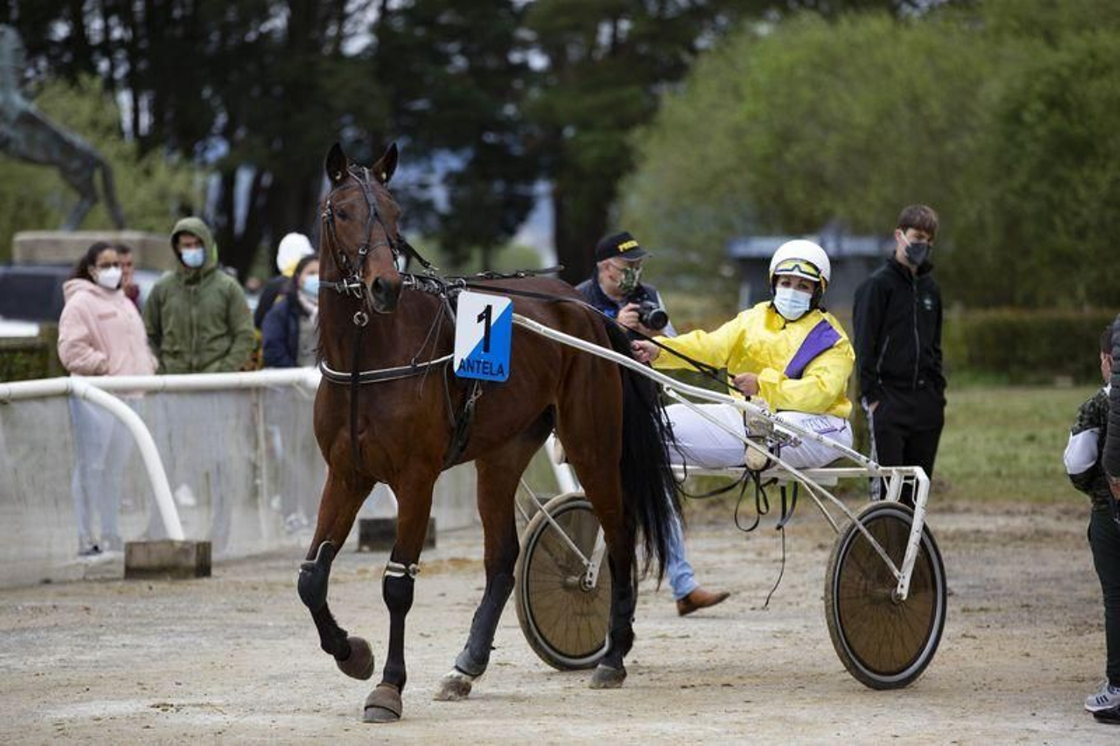 El hipódromo de Antela acogió la Copa Deputación de Hípica en modalidad de velocidad y trote en el hipódromo de Antela (Fotos: Xesús Fariñas)