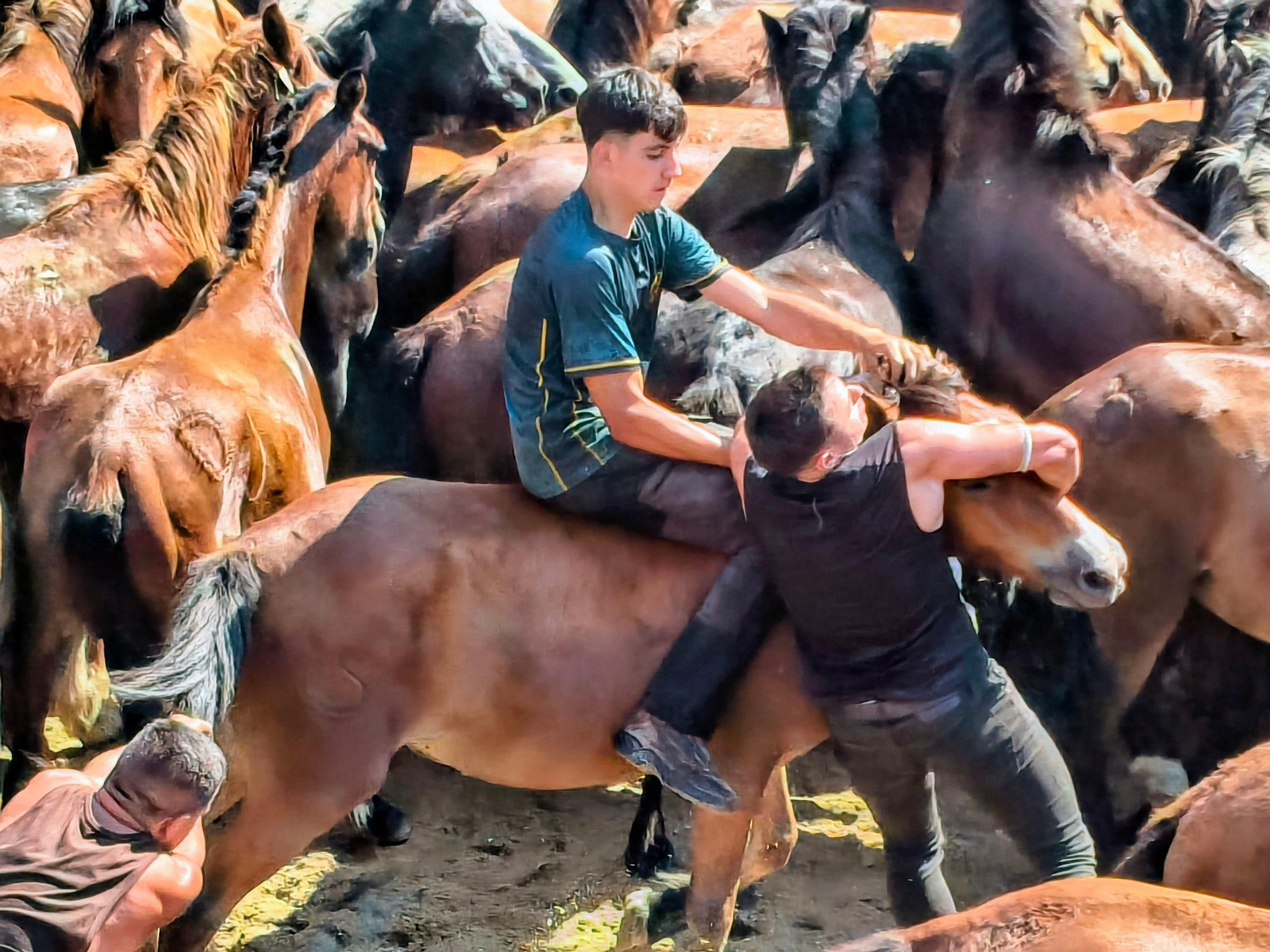 Galería | La Rapa das Bestas desafía al calor en Sabucedo