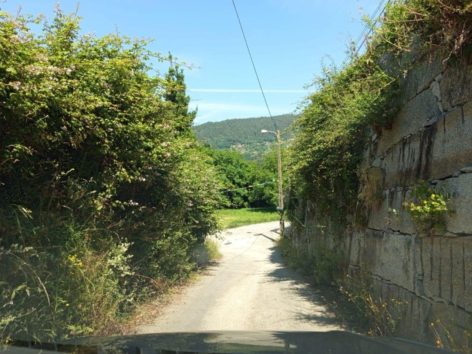 Maleza en la pista situada en el ayuntamiento de Padrenda