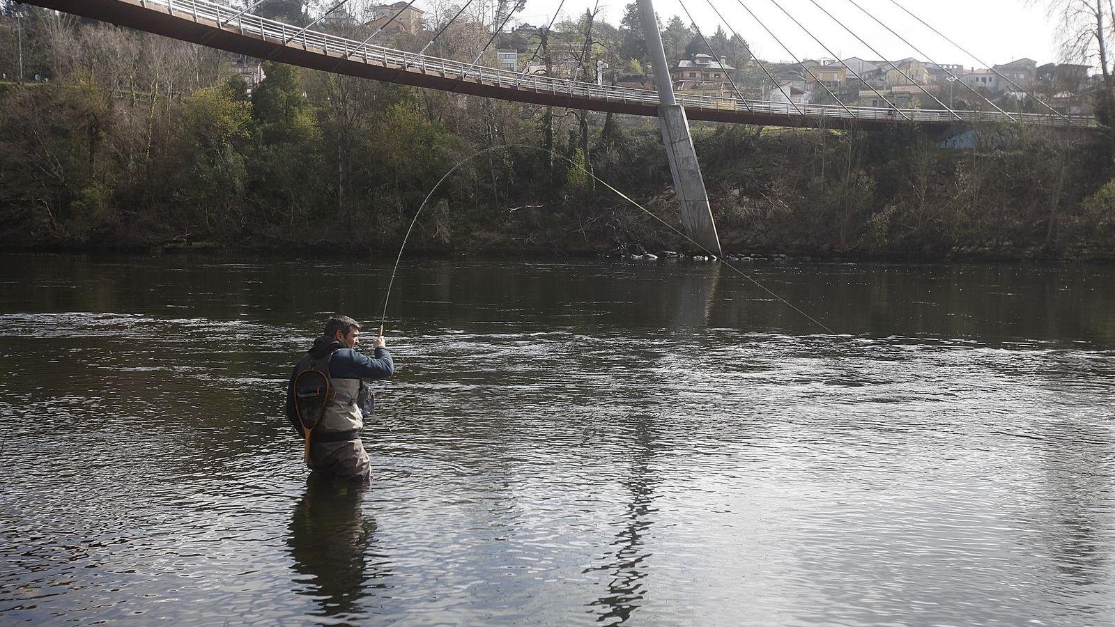 Inicio de la temporada de pesca. Rio Miño en el entorno de Oira y ciudad. (FOTO: MIGUEL ÁNGEL)