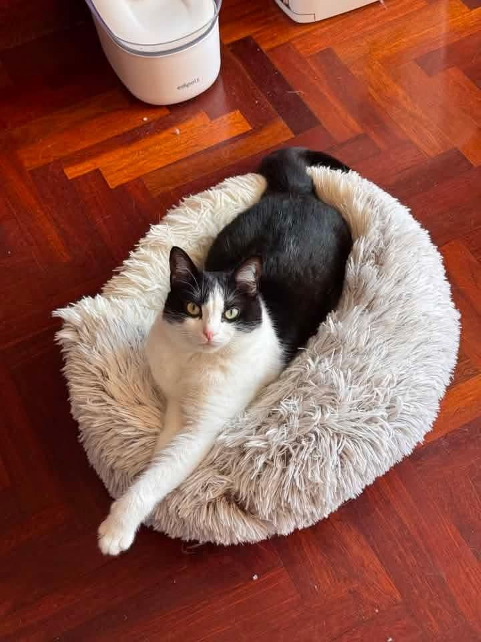 Kira