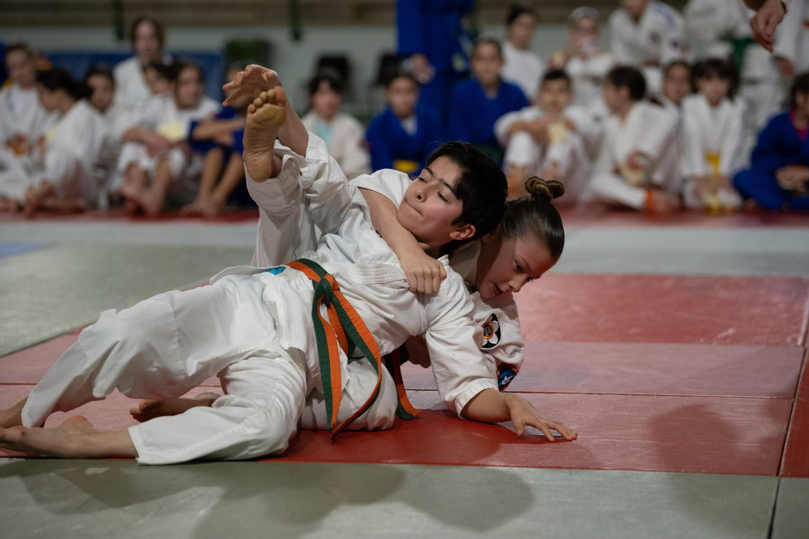 Galería | El judo arranca una edición más de su Copa Diputación