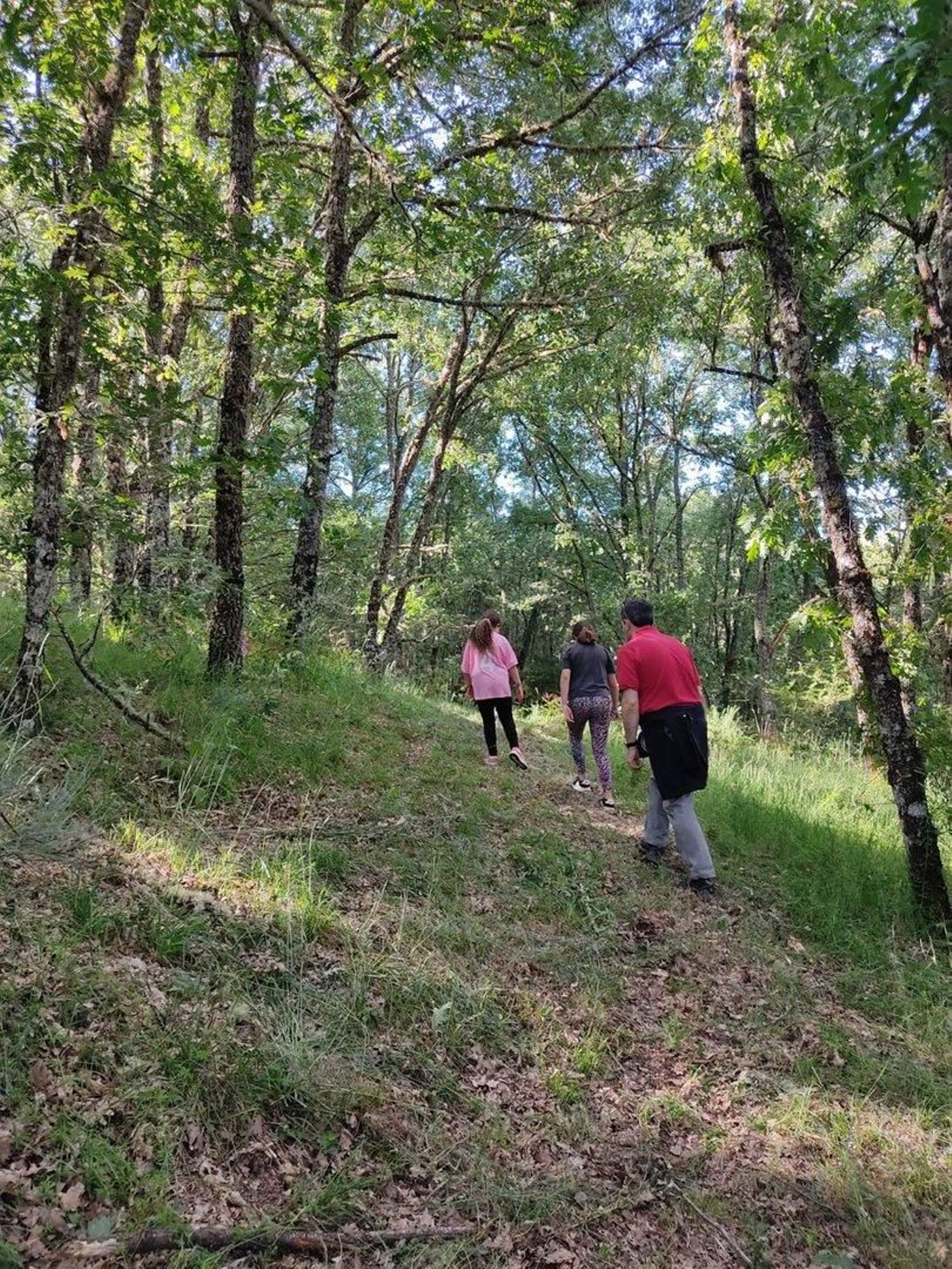 Frondosos bosques.