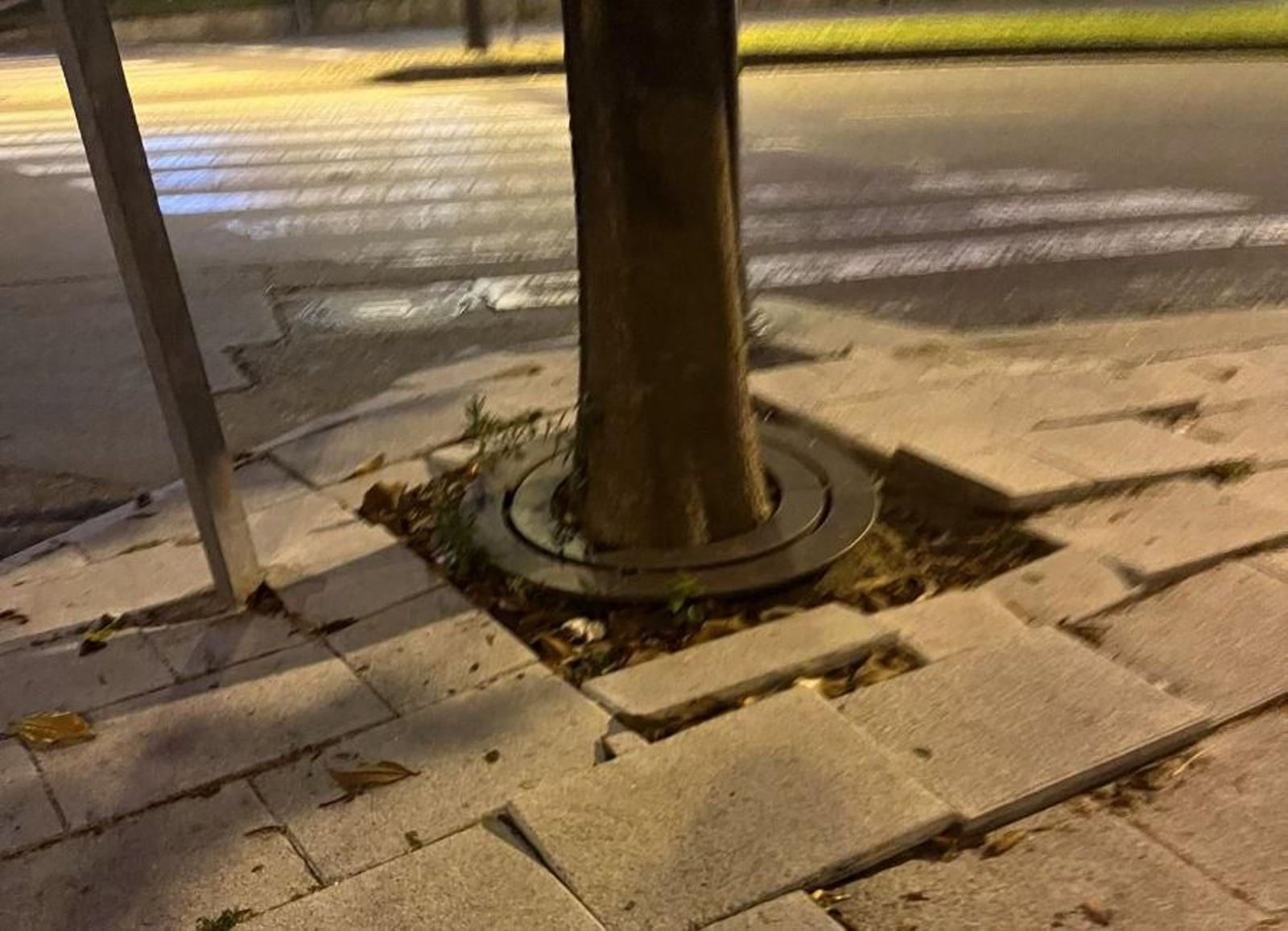 Magnolia frente a la Policía Nacional.