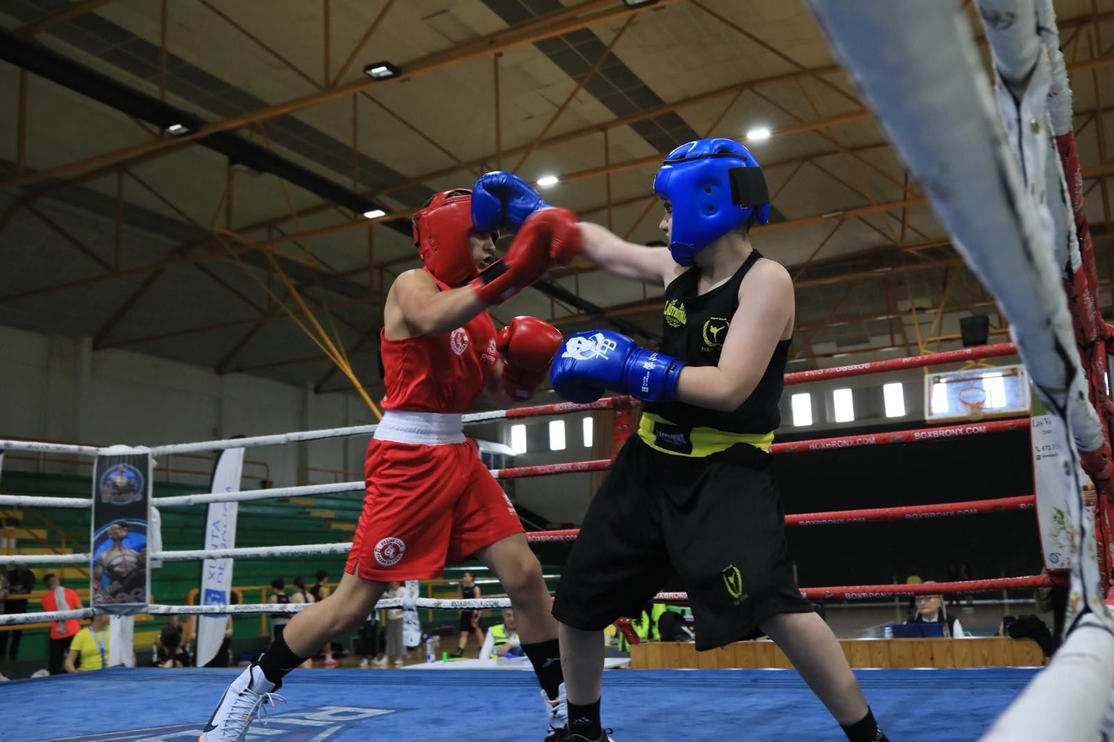 Galería | Verín disfruta de su primer Open de Boxeo